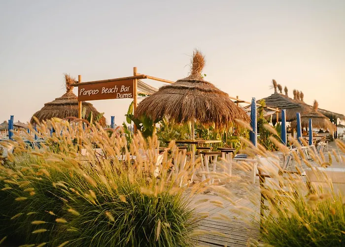 Kote's Beachfront 21